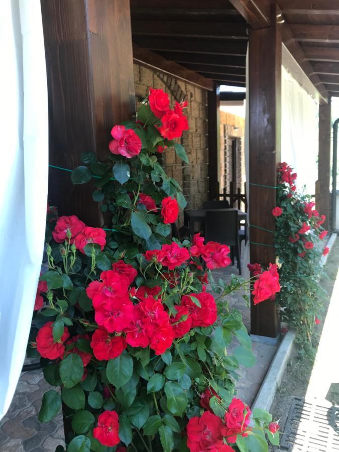 Agriturismo A Casa Di Susanna Santo Stefano del Sole Екстер'єр фото
