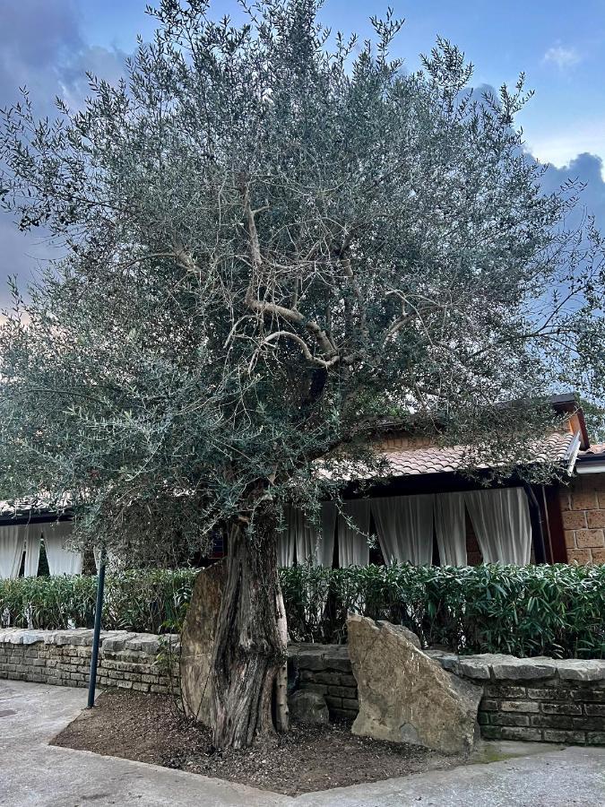Agriturismo A Casa Di Susanna Santo Stefano del Sole Екстер'єр фото