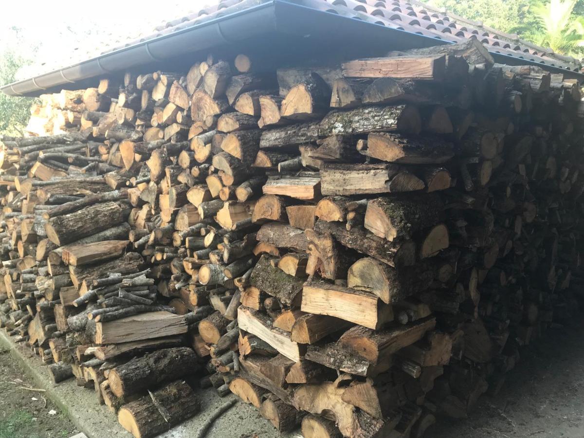 Agriturismo A Casa Di Susanna Santo Stefano del Sole Екстер'єр фото