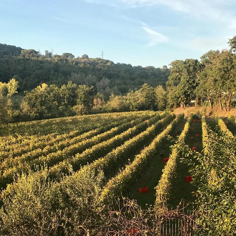 Agriturismo A Casa Di Susanna Santo Stefano del Sole Екстер'єр фото